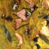Wild Colours - An Exploration Of Natural Dyes - Sat 12th Feb 2022