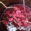 Wild Colours Cornwall - An Introduction To Natural Dye and Shibori - Mon 21st March 2022