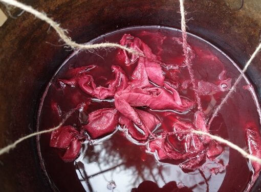 Wild Colours Cornwall - An Introduction To Natural Dye and Shibori - Friday 14th Oct 2022