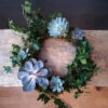 Living Wreath Workshop - Saturday 3rd December