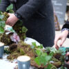 Living Wreath Workshop - Saturday 3rd December