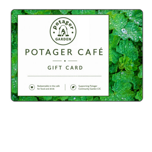 gift-card-web-image