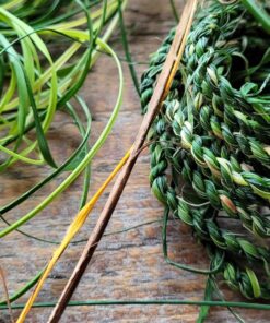 Forage and Make Cordage (String) - Sat 25th July 2026