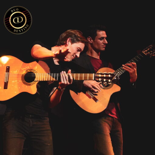 Potager garden 2026 August - 2