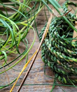 Forage and Make Cordage (String) - Sat 23rd May 2026