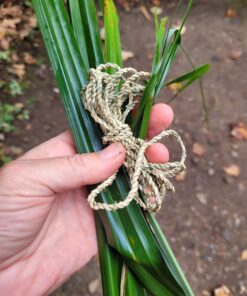 Forage and Make Cordage (String) - Fri 3rd July 2026
