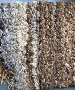 Alternative view of Weaving and Dreaming - Sat 24th January 2026