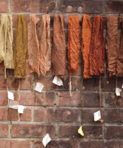 An introduction to Botanical Colour & Natural Dyes  - Friday 20th March 2026