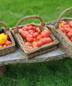 Willow Garden Trug with Lin Lovekin  Thurs 10th & Friday 11th  Sept 2026