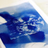 cYANOTYPE 1