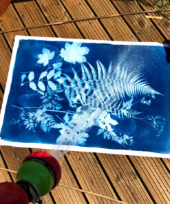 Learn and develop Cyanotype printing techniques - Friday 9th October 2026
