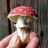 ACooper Mushrooms 2