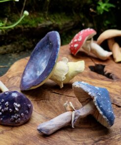Ceramic Mushroom Making Workshop - Saturday 14th November 2026