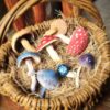 ACooper Mushrooms 4